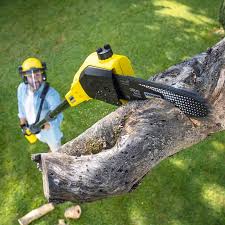 Lawn Watering Services in Comanche, TX