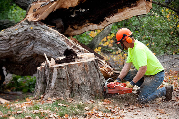 Best Aeration Services  in Comanche, TX